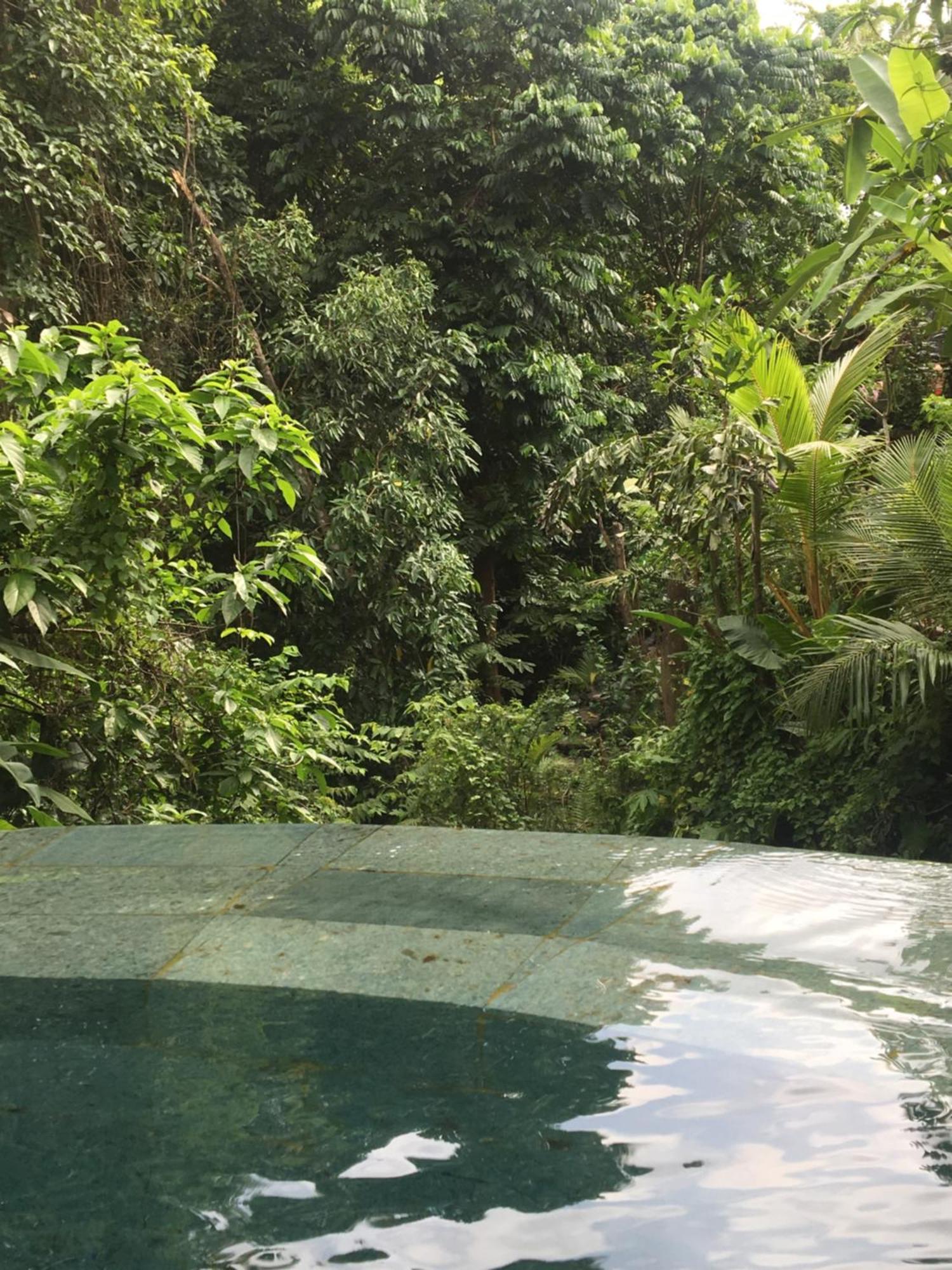 Raka Rai Bungalows Ubud  Exterior photo
